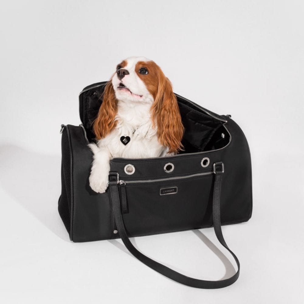 The Enzo - Recycled Nylon Pet Carrier